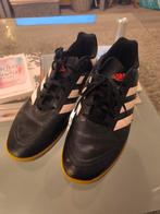 Adidas schoenen voor zaalvoetbal maat 45 1/3, Ophalen, Zo goed als nieuw