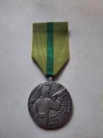 Medaille, Ophalen of Verzenden