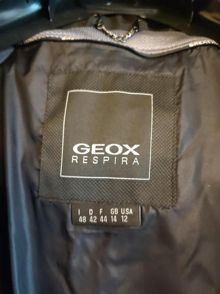Manteau Geox, Kleding | Dames, Jassen | Winter, Zo goed als nieuw, Zwart, Ophalen