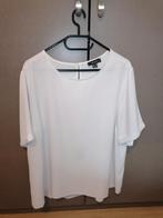 Set van 2 transparante witte blouses Primark Maat 48, Kleding | Dames, Blouses en Tunieken, Ophalen of Verzenden, Zo goed als nieuw
