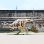 Female Australovenator beeld - Dinobeeld - 417 cm, Ophalen, Nieuw