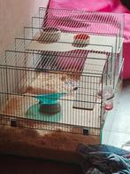 hamsterkooi, Dieren en Toebehoren, Ophalen, Zo goed als nieuw, Kooi, Hamster