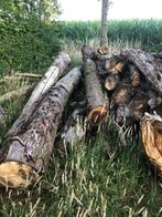 Boomstammen, Tuin en Terras, Brandhout, 6 m³ of meer, Ophalen, Overige houtsoorten, Stammen