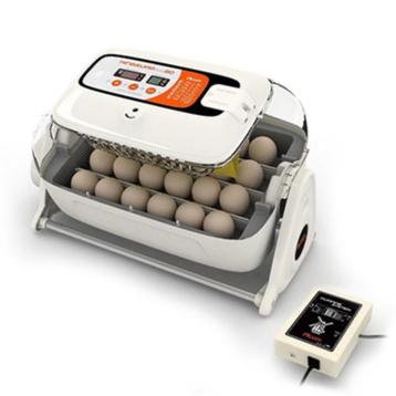 Broedmachine Rcom King Suro Max, Dieren en Toebehoren, Ophalen, Nieuw, Broedmachine