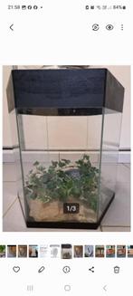 kleine aquarium of terrarium, Gebruikt, Ophalen