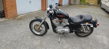 Prachtige Harley Sportster 883 beschikbaar voor biedingen