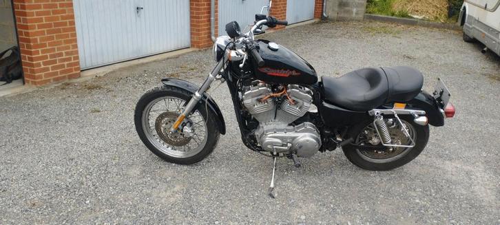 Très Belle Harley sportster 883, Motos, Motos | Harley-Davidson, Particulier, Chopper, plus de 35 kW, 2 cylindres, Permis Moto A