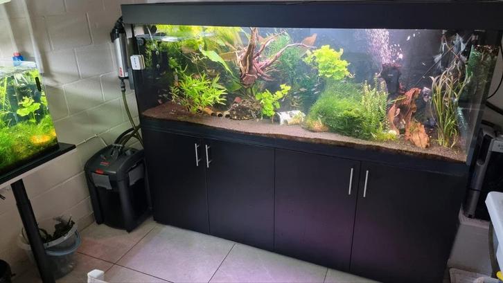 Zeer compleet aquarium in goede staat, 1m80., Dieren en Toebehoren, Vissen | Aquaria en Toebehoren, Zo goed als nieuw, Ophalen