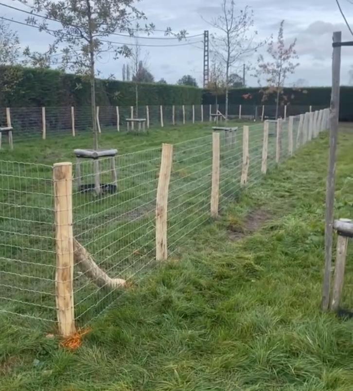 Hekwerk,tuinomheining,weideafsluiting,draadafsluiting, Tuin en Terras, Tuinhekken en Hekwerk, Nieuw, Ophalen of Verzenden