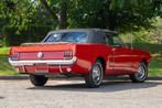 Ford Mustang Cabriolet - Paint / Interior Restored, Achat, Entreprise, Cabriolet, 2 portes
