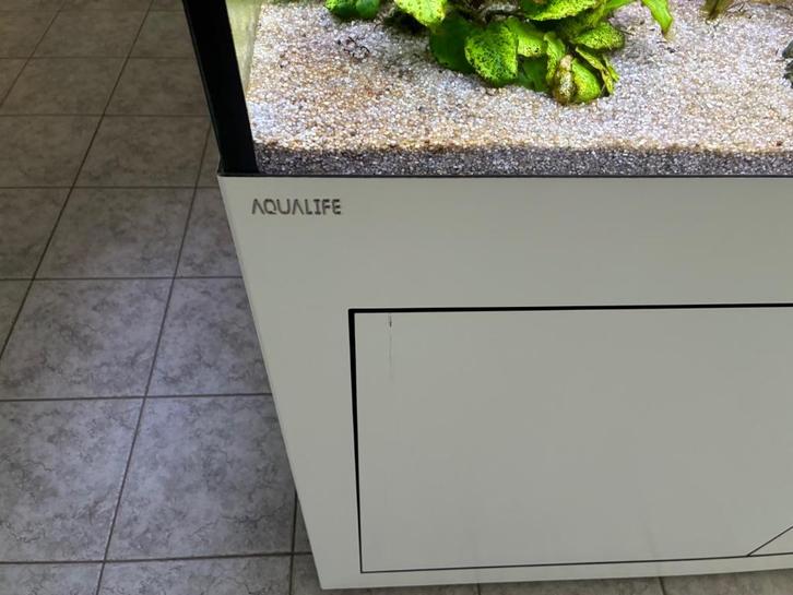 Aquarium aqualife, Dieren en Toebehoren, Vissen | Aquaria en Toebehoren, Gebruikt, Gevuld zeewateraquarium, Ophalen