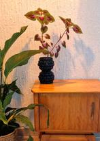 Vintage design vaasje, Huis en Inrichting, Woonaccessoires | Vazen, Ophalen of Verzenden, Zo goed als nieuw, Zwart