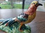 Handgeschilderde exotische siervogel nieuw, Ophalen of Verzenden, Nieuw, Dier