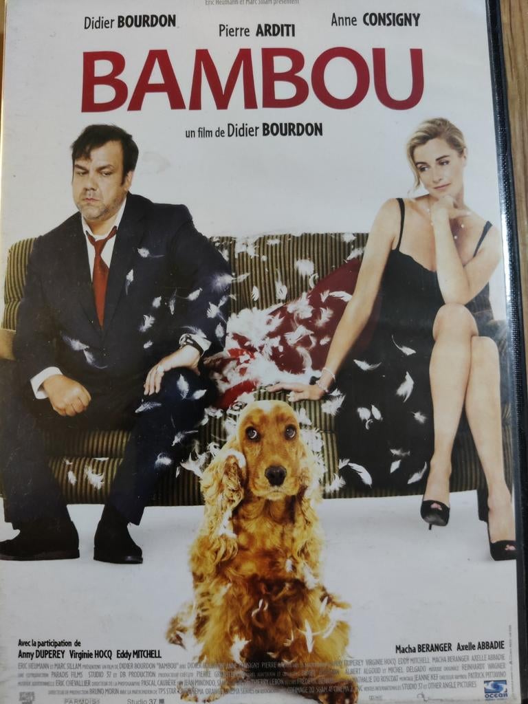 Bambou (2009) (Didier Bourdon) DVD, Ophalen of Verzenden, Zo goed als nieuw