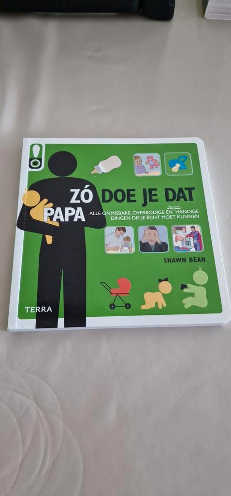 Shawn Bean - Zo doe je dat - Papa, Boeken, Overige Boeken, Zo goed als nieuw, Ophalen of Verzenden