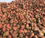 Voederbieten, Zakelijke goederen, Landbouw | Veevoer, Ophalen