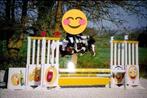 Poney à vendre, Animaux & Accessoires, Poneys, Vermifugé, M, Poney B (1.17 m à 1.27 m), Poney de saut