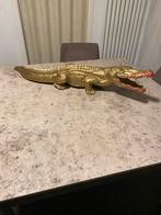 Krokodil, Dieren en Toebehoren, Reptielen en Amfibieën