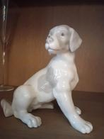 Porseleinen hond, Antiek en Kunst, Ophalen