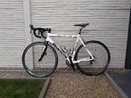 Bianchi 928 Carbon Tech 105 Compact MT 56, Fietsen en Brommers, Ophalen, Zo goed als nieuw, Carbon