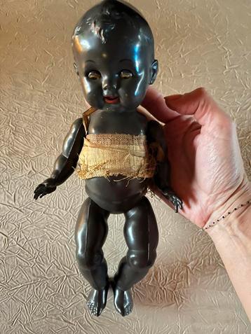 Roddy beschikbaar voor biedingen