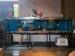 Aquarium 3m, Ophalen, Gebruikt, Leeg aquarium