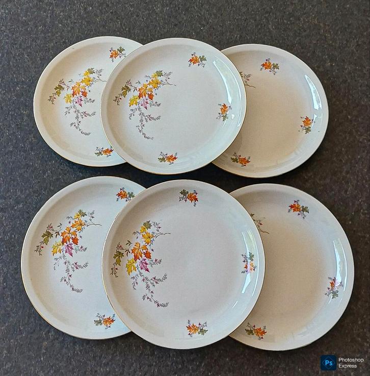 6 dessertborden Colditz Porzellan, Antiek en Kunst, Antiek | Servies los, Ophalen of Verzenden