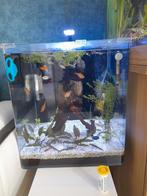 Aquarium, Ophalen of Verzenden, Zo goed als nieuw