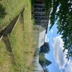 serre de jardin, Tuin en Terras, Ophalen, Gebruikt, Kweekkas