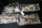 4 parelkettingen voor kerstboom, pakjes, ...., Ophalen of Verzenden, Nieuw