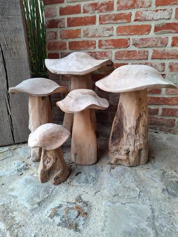 Tuindecoratie met Teak houten paddestoelen! Setje v 5 stuks beschikbaar voor biedingen