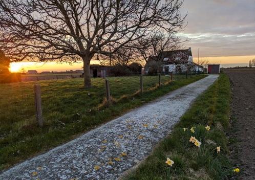 Huis te koop, rustig gelegen tussen de velden, Immo, Huizen en Appartementen te koop, Provincie West-Vlaanderen, 1500 m² of meer