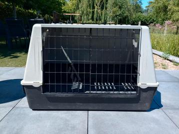 Honden transportbox, Enlèvement, Utilisé