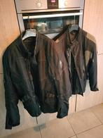 Motorkleding diverse spotgoedkoop, Motoren, Kleding | Motorkleding, Ophalen, Dames, Handschoenen