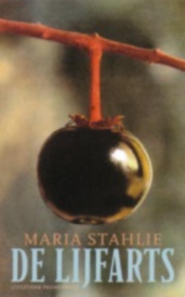 De lijfarts Maria Stahlie 595 blz, Boeken, Romans, Zo goed als nieuw, Nederland, Ophalen of Verzenden
