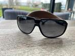 Zonnebril heren Carrera met gloednieuwe glazen, Zonnebril, Carrera, Ophalen of Verzenden, Zo goed als nieuw