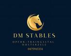 stalling, Stalling, 2 of 3 paarden of pony's