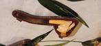 Pipe ancienne en écume de mer avec étui – XIXe / début XXe s, Enlèvement ou Envoi