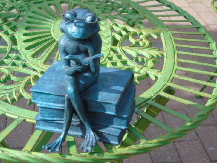 Kikkerbeeld met bril zittend op bronzen boeken, Tuin en Terras, Tuinwanddecoratie, Nieuw, Ophalen