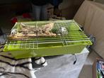 hamster/ caviakooi, Dieren en Toebehoren, Knaagdieren en Konijnen | Hokken en Kooien, Ophalen, Gebruikt, Kooi, Hamster
