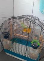 2 parkieten met kooi, Dieren en Toebehoren, Ophalen, Zo goed als nieuw