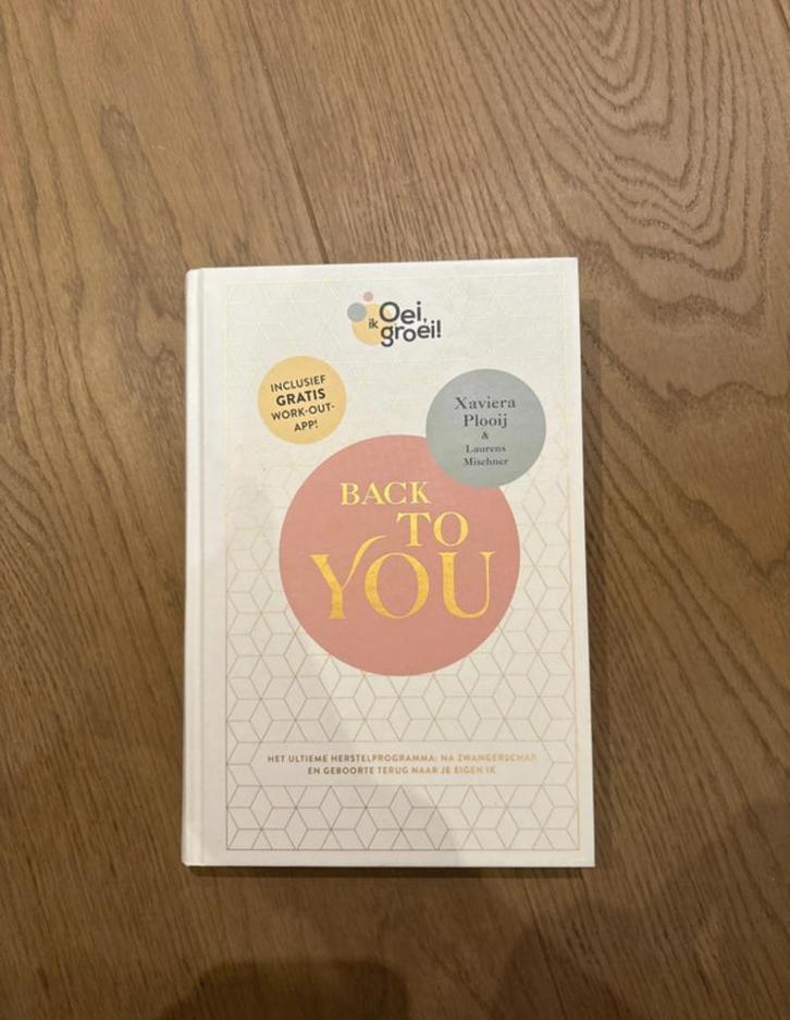 Laurens Mischner - Back To You, Boeken, Zwangerschap en Opvoeding, Zo goed als nieuw, Ophalen