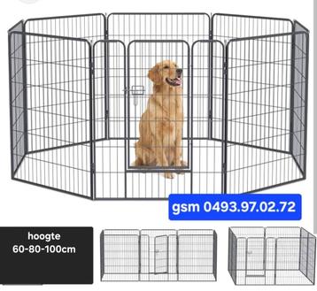 hondenren-puppyren nieuw 3 verschillende maten beschikbaar voor biedingen