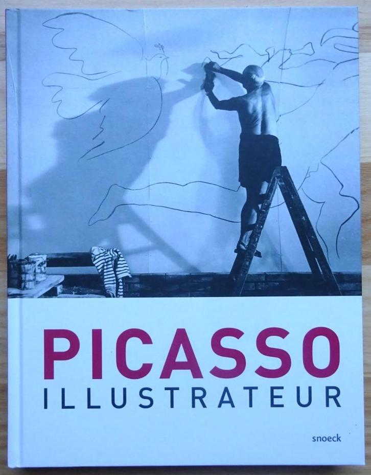 Picasso, illustrateur, MUba Tourqoing, 2020, Boeken, Kunst en Cultuur | Beeldend, Nieuw, Schilder- en Tekenkunst, Ophalen of Verzenden