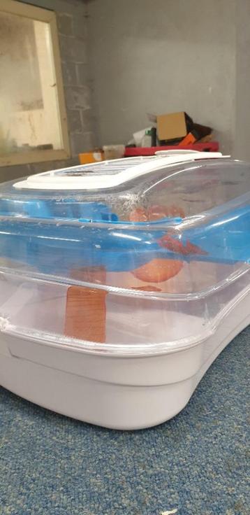 Hamsterkooi, Dieren en Toebehoren, Ophalen of Verzenden, Kooi