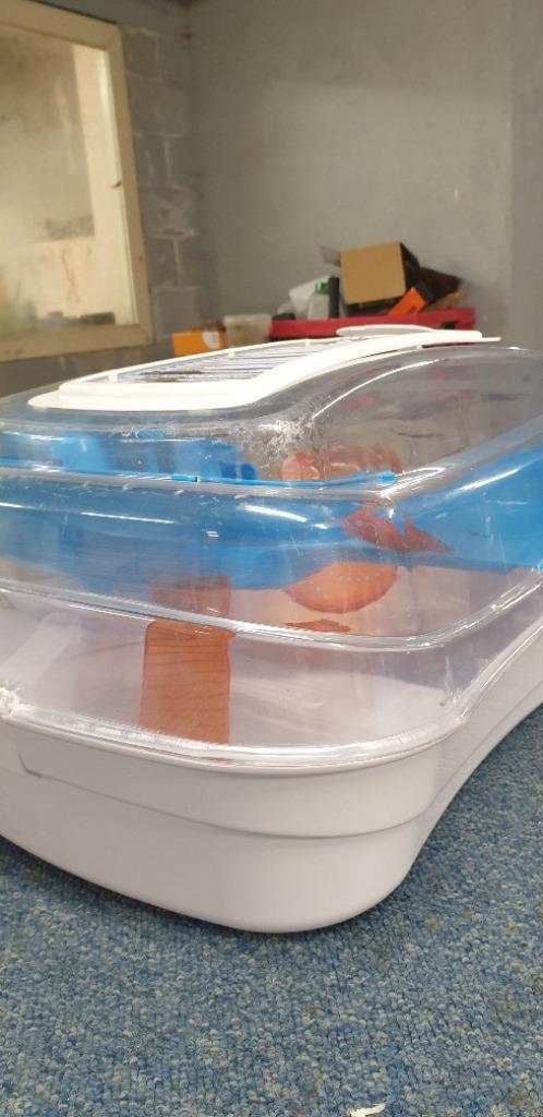 Hamsterkooi, Dieren en Toebehoren, Knaagdieren en Konijnen | Hokken en Kooien, Kooi, Ophalen of Verzenden