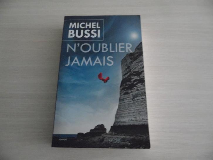 N'OUBLIER JAMAIS          MICHEL BUSSI, Livres, Romans, Comme neuf, Europe autre, Enlèvement ou Envoi