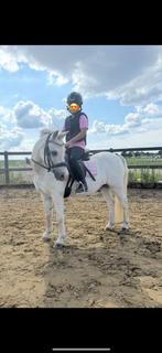 Fantastisch kinderpony, Dieren en Toebehoren, Pony's, Ruin, B pony (1.17m tot 1.27m), Gechipt, 11 jaar of ouder