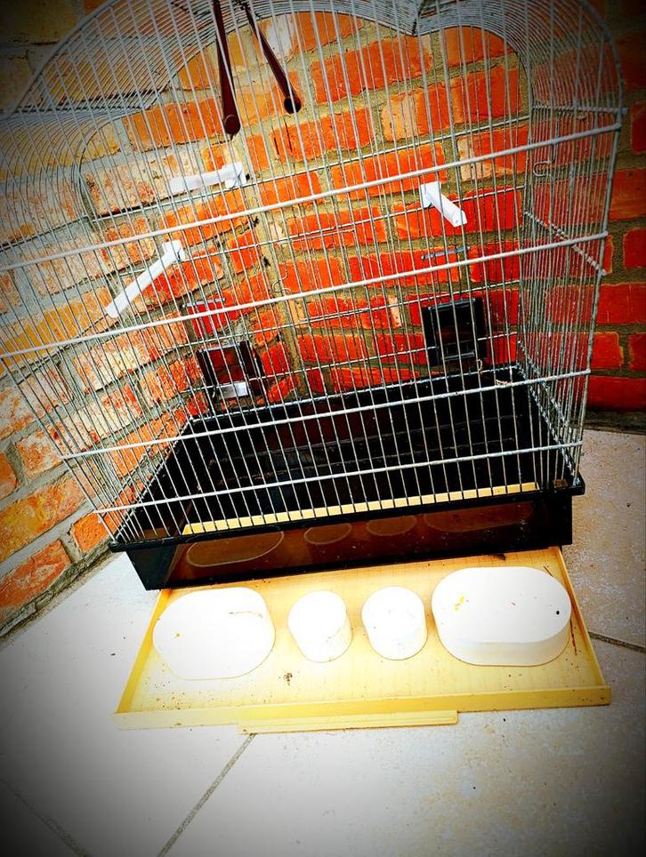 Ruime Vogelkooi met zitstokjes en eetbakjes Garage verkoop !, Dieren en Toebehoren, Vogels | Hokken en Kooien, Zo goed als nieuw
