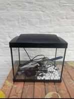 Kit voor aquarium, Dieren en Toebehoren, Ophalen, Nieuw
